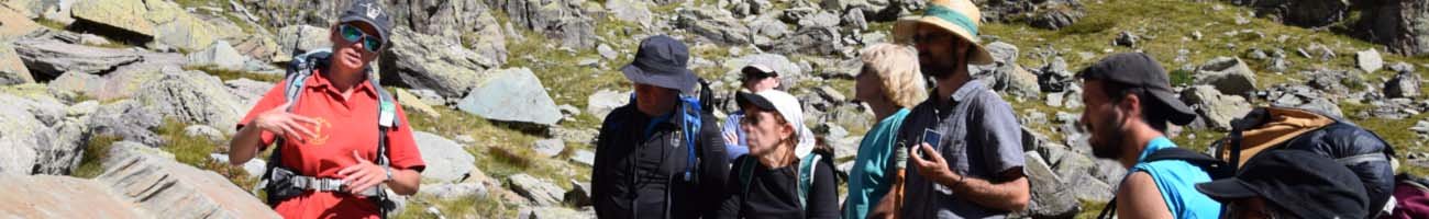 Programmes, partenariats et réseaux