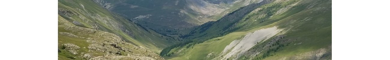 ERC Starting Grant LAKE-SWITCH 2022-2027 (PI : Mathieu Dellinger)