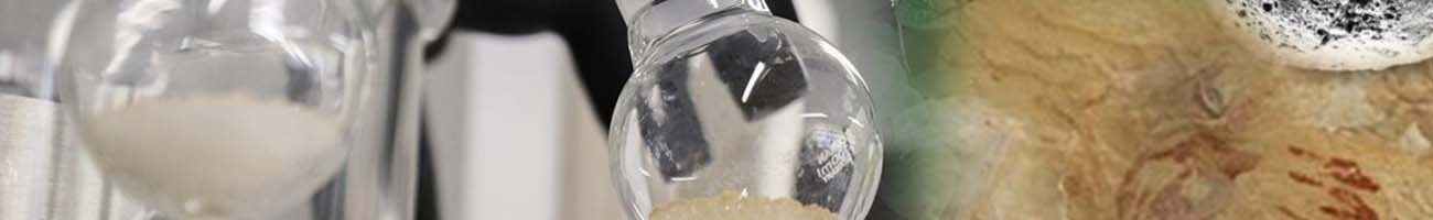 Programmes, partenariats et réseaux